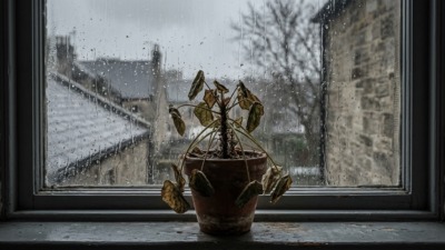 Что такое апатия